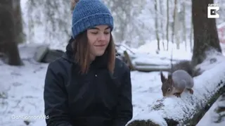 VÍDEO | Esta fotógrafa de vida salvaje hace amistad con unas ardillas rojas y consigue fotografiarlas de cerca
