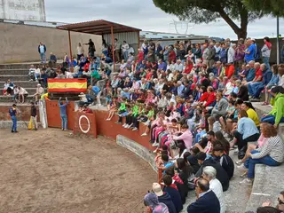 Encierro de novillos en Pereña | s24h