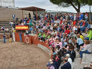 Encierro de novillos en Pereña | s24h