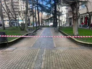 Zona arbolada del paseo de Carmelitas acotada por las fuertes rachas de viento. Foto de archivo | S24H