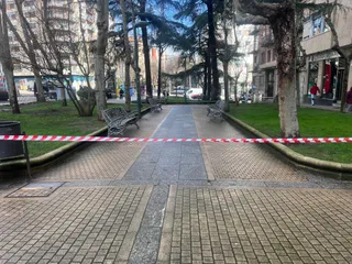 Zona arbolada del paseo de Carmelitas acotada por las fuertes rachas de viento. Foto de archivo | S24H
