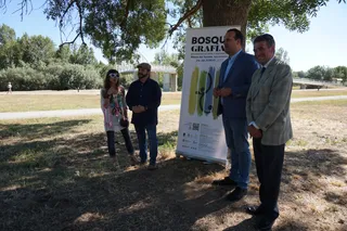 Bosquegrafías Isla del Soto