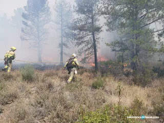 Incendio La Alberca (3)