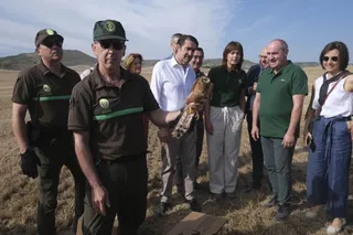 Proyecto de protección del aguilucho