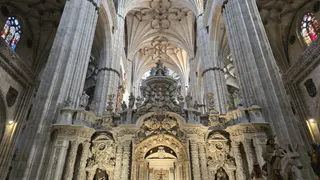 Visita guiada en la Catedral de Salamanca