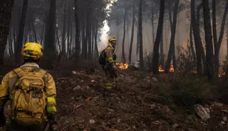 Bomberos forestales trabajando en un incendio