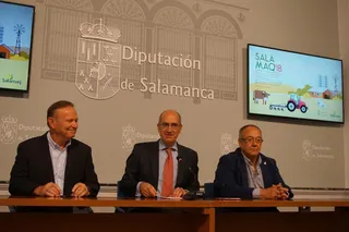 Dipu salamaq