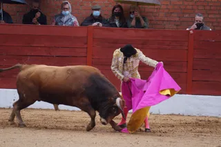II Circuito sin picadores de Castilla y León 1