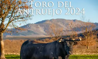 Toro de Antruejo
