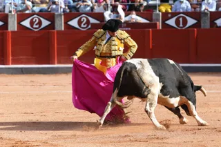 Morante de la Puebla donde la Feria de Salamanca