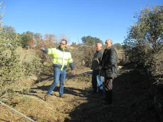Arroyo Gallegos de Solmirón 1
