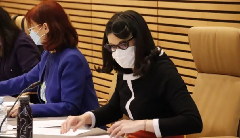 Pleno del Ayuntamiento