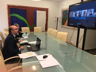 Reunión virtual del consejero de Cultura y Turismo con el Consejo Autonómico de Turismo