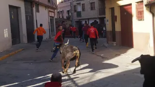 Encierro del domingo de Alba de Tormes