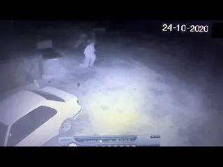 Robo de corderos en Pelabravo, Salamanca