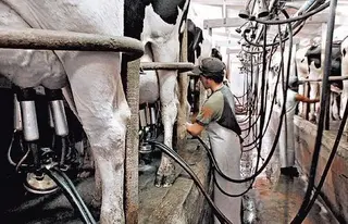 La Junta financia los programas de mejora de la calidad de la leche cruda de vaca, oveja y cabra