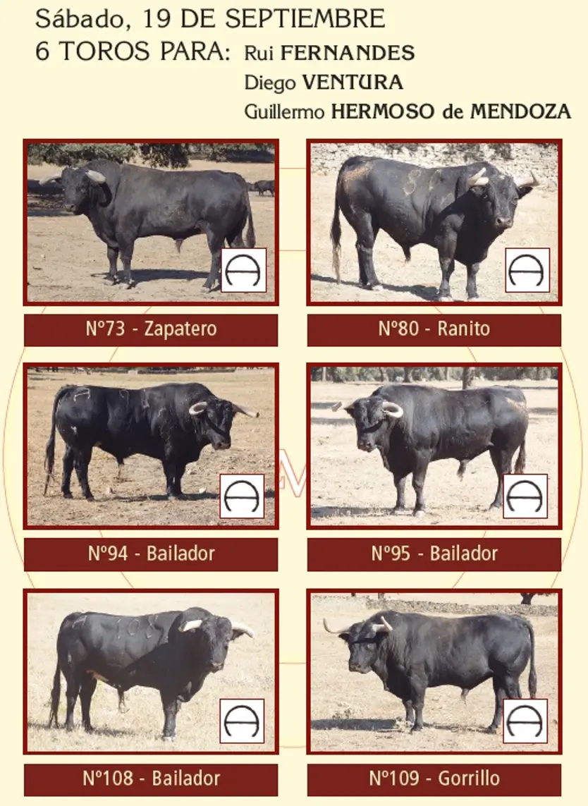Toros De Sánchez Y Sánchez Reseñados Para La Corrida De Rejones De Salamanca Del 19 De Septiembre De 2026 | La Mariseca-Juanes