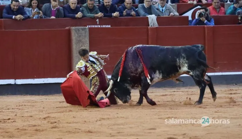 GALERÍA | Corrida concurso de despedida de López Chaves y El Juli: momentos más destacados del último festejo de abono de la Feria Taurina Virgen de la Vega 2023. Fotos Andrea M.