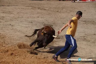 Toros Villamayor (80)