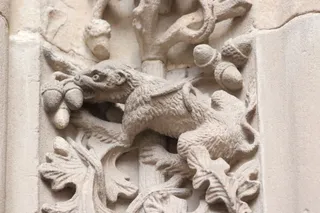 Lirón careto tallado en la Catedral de Salamanca. Foto Andrea M.