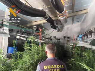 Marihuana en Ventosa del Río Almar