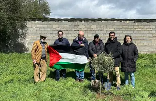 La Asociación Hispano Árabe de Salamanca Planta un olivo en Miranda de Azán por la paz en Palestina