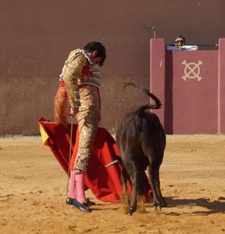 Alejandro Marcos tentadero en Loreto Charro