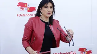 La secretaria de Organización del PSOE de Castilla y León, Ana Sánchez