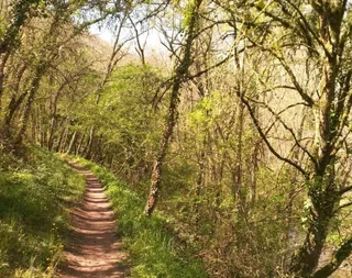 Agotadas las 30 plazas para la primera ruta de 'Naturaleza escondida' entre Montemayor del Río y Peñacaballera