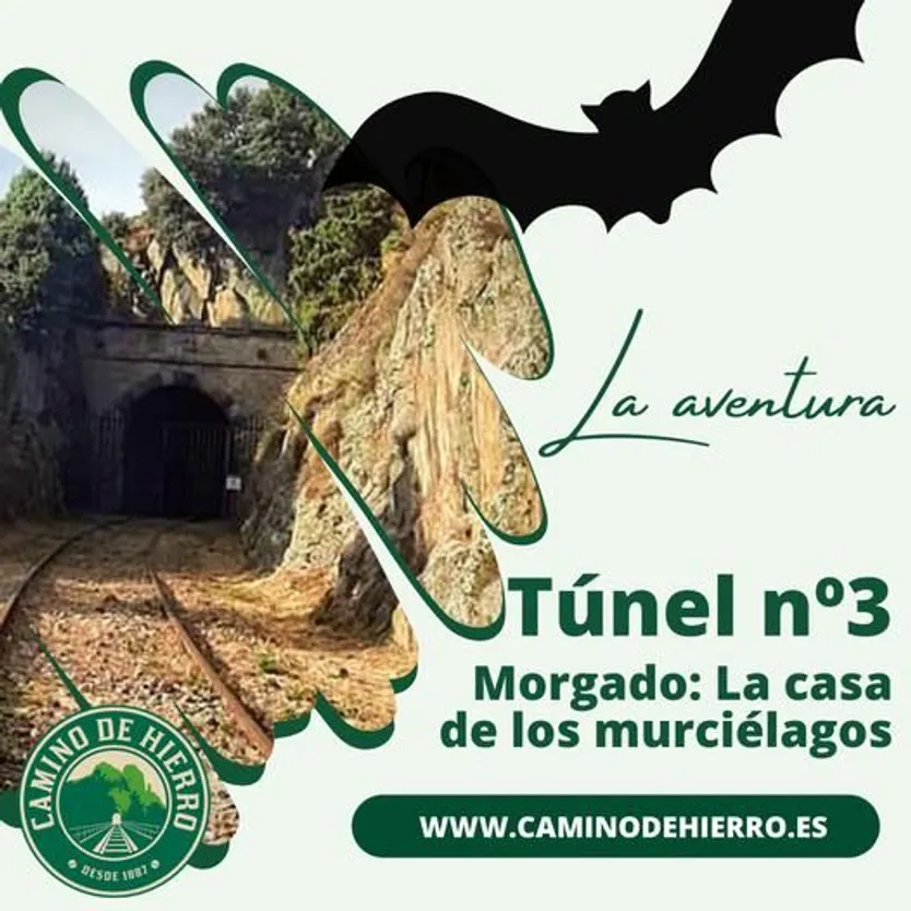 Túnel 3 Camino de Hierro