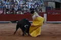 Corrida de Morante, Ismael Martín y Julio Norte en Salamanca | Asier Galache