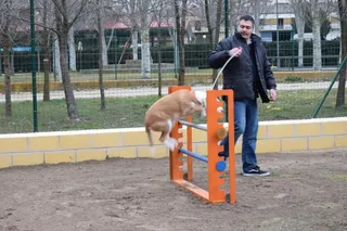 Inauguración Parque Canino Alba de Tormes
