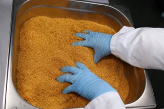 El Itacyl investiga alimentos sin gluten para mejorar la calidad de vida de personas con alergias e intolerancias