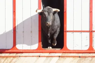 Tradicional Desenjaule en la Plaza de Toros La Glorieta | Juanes