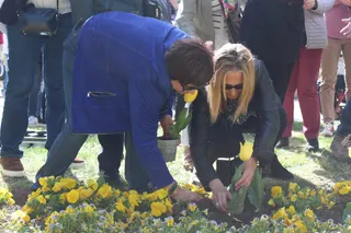 GALERÍA | Plantación simbólica de tulipanes con motivo del Día Mundial del Parkinson