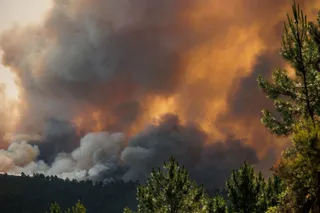 Incendio forestal declarado en Las Hurdes y la Sierra de Gata (Cáceres), muy cerca de la provincia de Salamanca. Vicente / ICAL