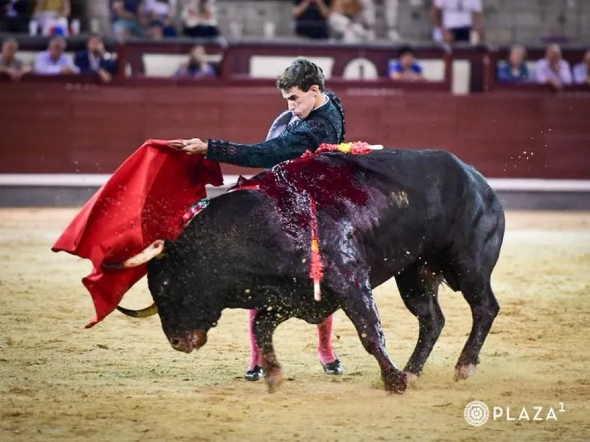 El novillero Pedro Montaldo en su presentación en Las Ventas
