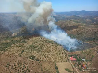 Imagen del incendio de la Fregeneda, declarado en julio de 2024