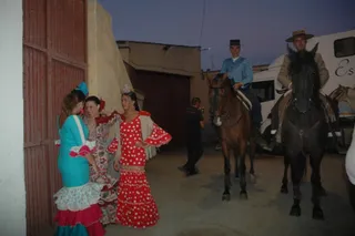 Espectáculo flamenco a caballo