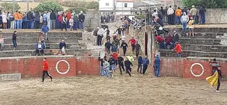 Segundo encierro en Pereña de la Ribera. Fotos S24H (26)