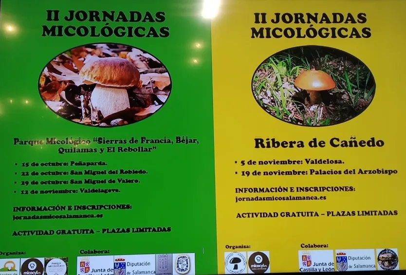 II Jornadas Micológicas