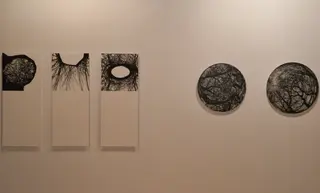 El Centro Cultural Hispano Japonés acoge la exposición colectiva sobre la convergencia entre arte y ciencia ‘Caracteres Esenciales’