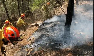 Efectivos del Infoex trabajan para extinguir un incendio forestal. Archivo