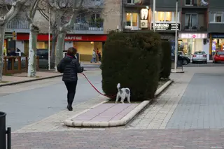 Dueños perro (22)