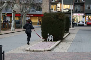 Dueños perro (22)