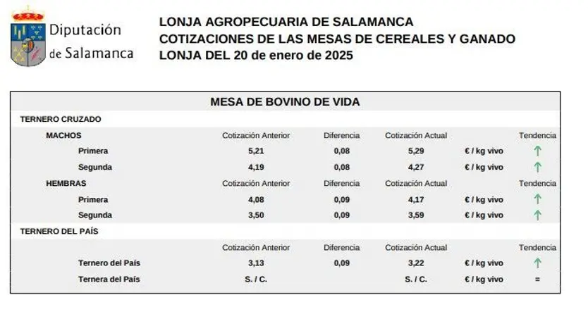 Mesa bovino de vida lonja Salamanca 20 enero 2025