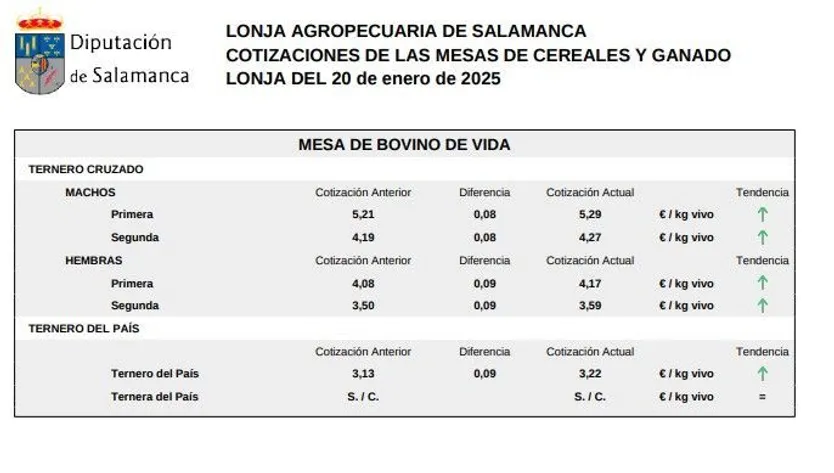 Mesa bovino de vida lonja Salamanca 20 enero 2025