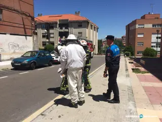 Abejas1