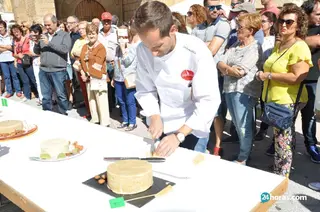 Saucelle Feria Almendra (93)