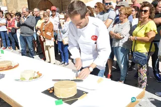 Saucelle Feria Almendra (93)